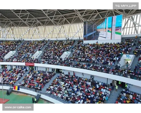 中国维保组成员见证乍得体育场首秀：深感多年心血没有白费